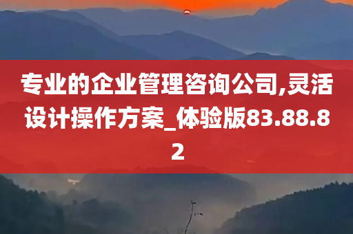 专业的企业管理咨询公司,灵活设计操作方案_体验版83.88.82