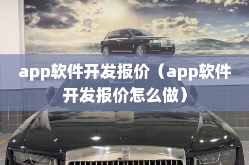 app软件开发报价（app软件开发报价怎么做）