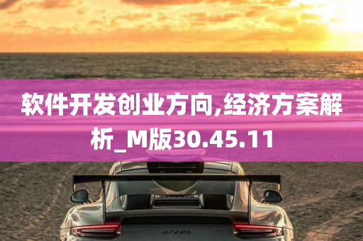 软件开发创业方向,经济方案解析_M版30.45.11