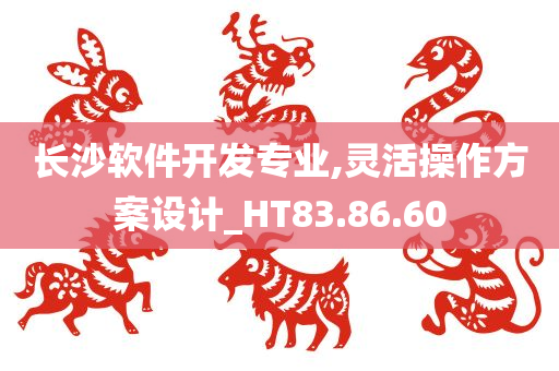 长沙软件开发专业,灵活操作方案设计_HT83.86.60