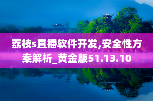 荔枝s直播软件开发,安全性方案解析_黄金版51.13.10