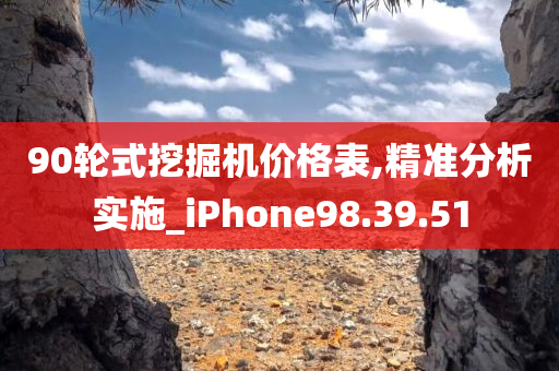 90轮式挖掘机价格表,精准分析实施_iPhone98.39.51