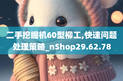 二手挖掘机60型柳工,快速问题处理策略_nShop29.62.78