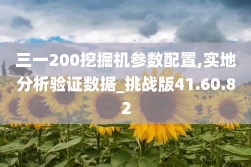 三一200挖掘机参数配置,实地分析验证数据_挑战版41.60.82