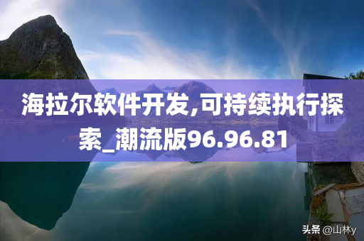 海拉尔软件开发,可持续执行探索_潮流版96.96.81