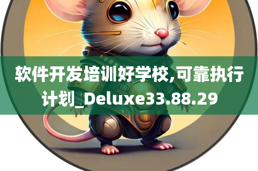 软件开发培训好学校,可靠执行计划_Deluxe33.88.29