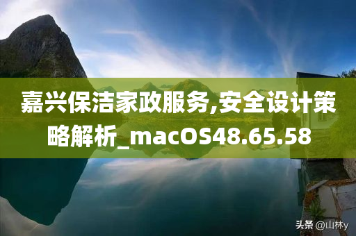 嘉兴保洁家政服务,安全设计策略解析_macOS48.65.58