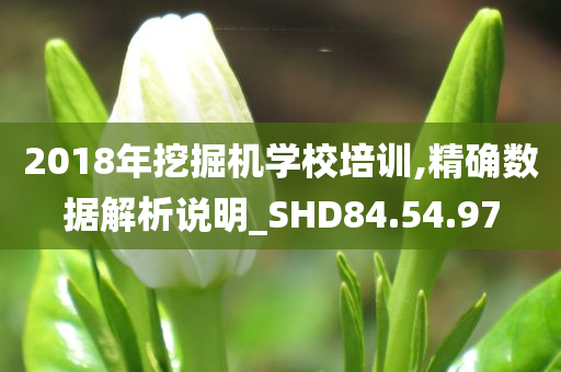 2018年挖掘机学校培训,精确数据解析说明_SHD84.54.97