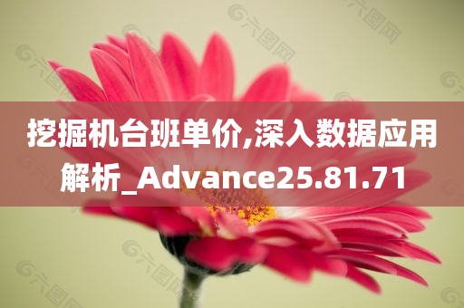 挖掘机台班单价,深入数据应用解析_Advance25.81.71