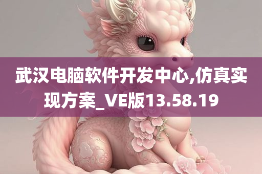 武汉电脑软件开发中心,仿真实现方案_VE版13.58.19