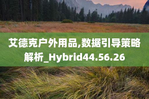 艾德克户外用品,数据引导策略解析_Hybrid44.56.26