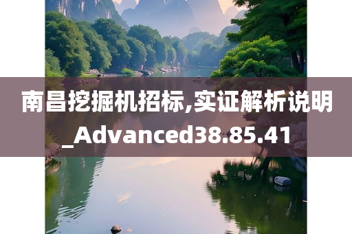 南昌挖掘机招标,实证解析说明_Advanced38.85.41