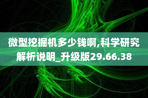 微型挖掘机多少钱啊,科学研究解析说明_升级版29.66.38