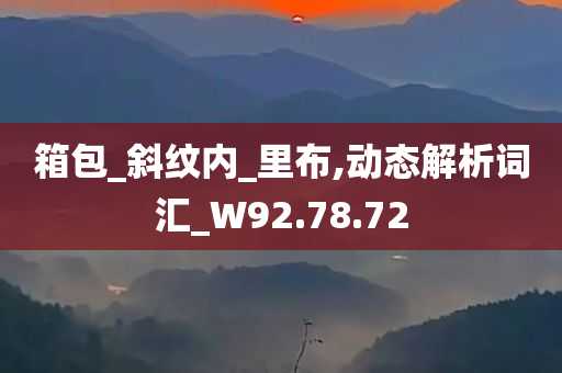 箱包_斜纹内_里布,动态解析词汇_W92.78.72