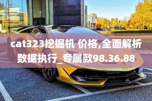 cat323挖掘机 价格,全面解析数据执行_专属款98.36.88