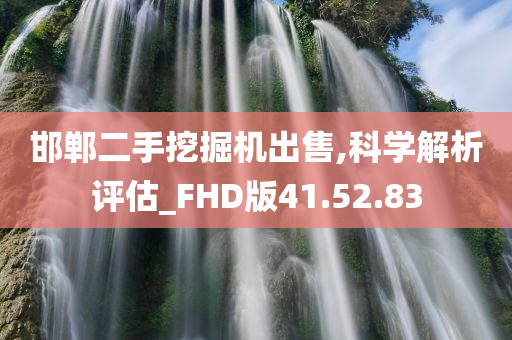 邯郸二手挖掘机出售,科学解析评估_FHD版41.52.83