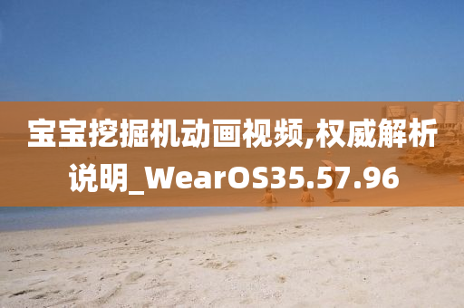 宝宝挖掘机动画视频,权威解析说明_WearOS35.57.96