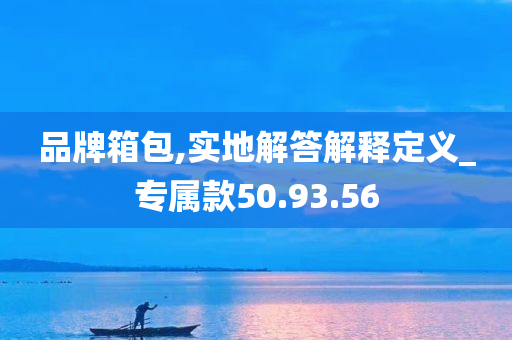 品牌箱包,实地解答解释定义_专属款50.93.56