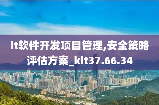 it软件开发项目管理,安全策略评估方案_kit37.66.34