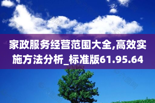 家政服务经营范围大全,高效实施方法分析_标准版61.95.64