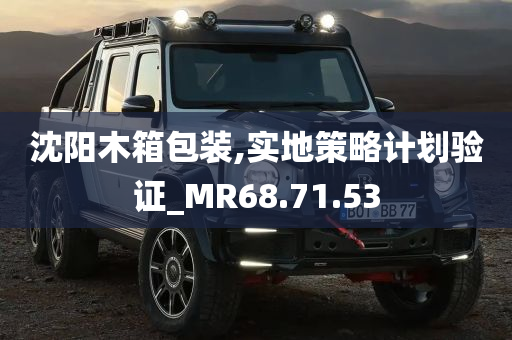 沈阳木箱包装,实地策略计划验证_MR68.71.53