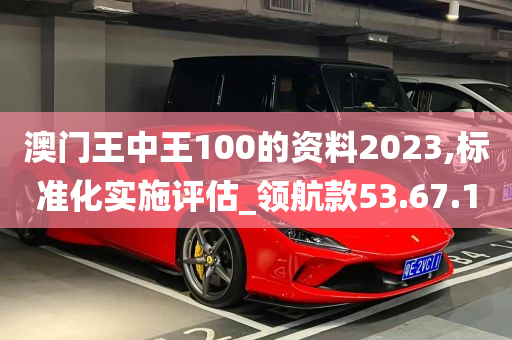 澳门王中王100的资料2023,标准化实施评估_领航款53.67.10