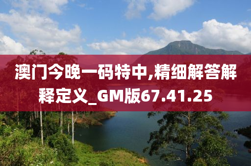 澳门今晚一码特中,精细解答解释定义_GM版67.41.25